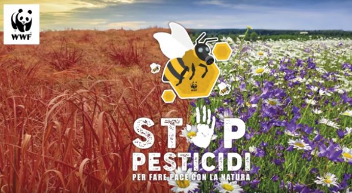 Pesticidi anti zanzare, Wwf “A rischio salute cittadini e impollinatori”