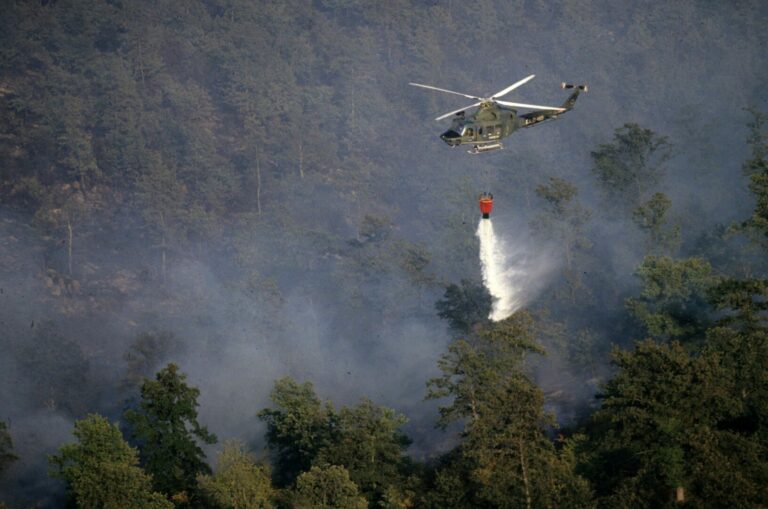 Incendi, da Parlamentari calabresi Ddl per triplicare pene a piromani