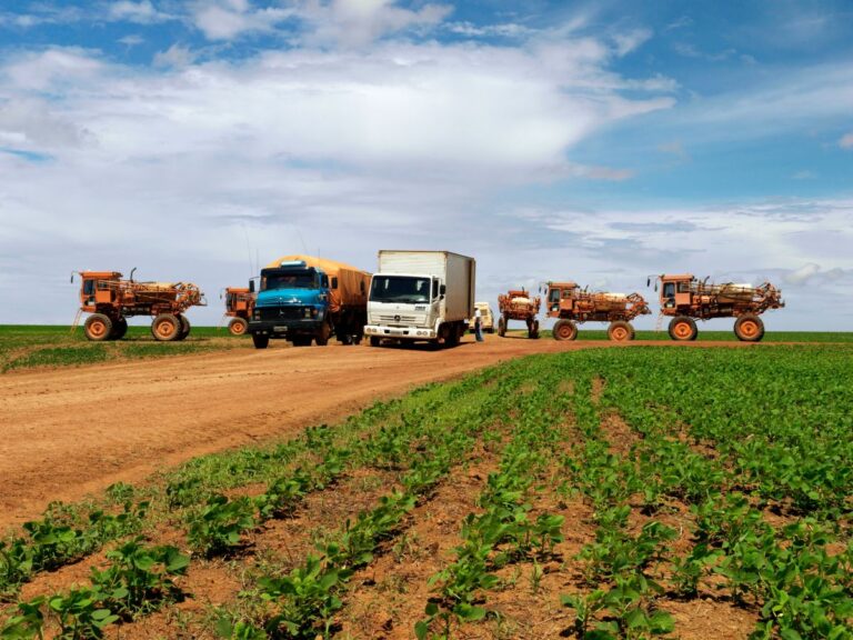 Wwf, 39 mln posti di lavoro con sussidi dedicati ad azioni per la natura