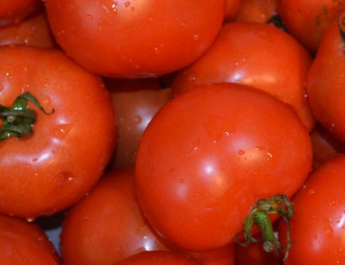 Pomodoro, Battistoni (Mipaaf) “Conserve Italia punto di riferimento”