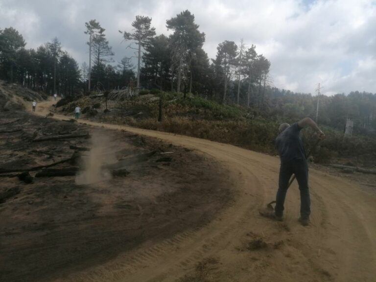 Incendi in Calabria, domato quello tra i comuni di Africo e Roghudi