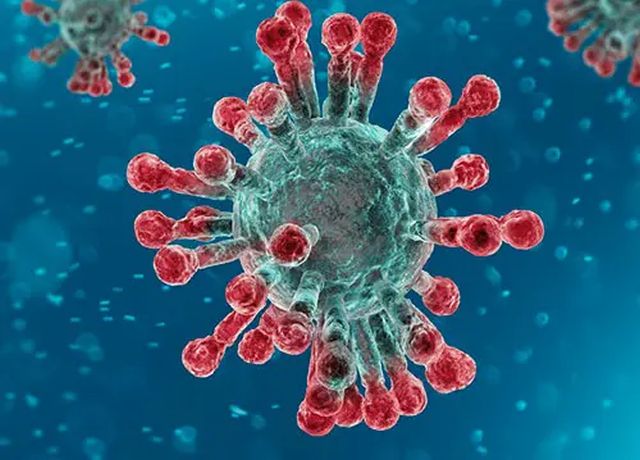 Piattaforma peptidica potente strumento nella lotta contro il Covid