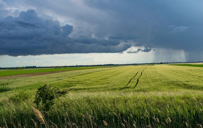 Pac, maggiori anticipi sui pagamenti di politica agricola comune