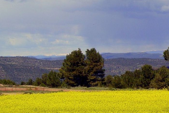 Via libera commissione Ue a piano sviluppo rurale Emilia Romagna