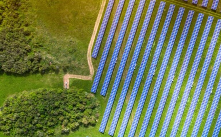 Accordo Confagricoltura-Enel per transizione energetica ed ecologica