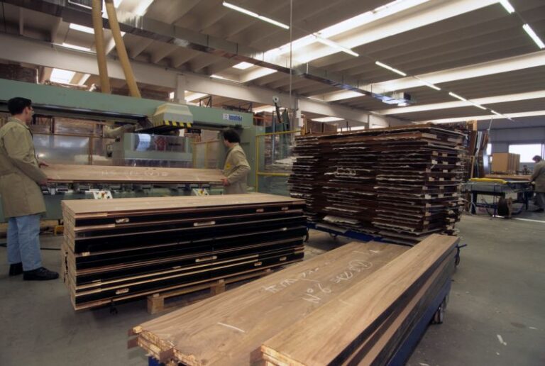 Russia, Feltrin “Sullo stop all’import del legno servono compensazioni”