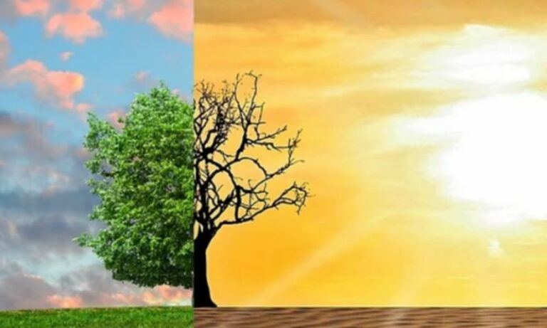 Wwf porta alla Mostra di Venezia un corto sulla crisi climatica