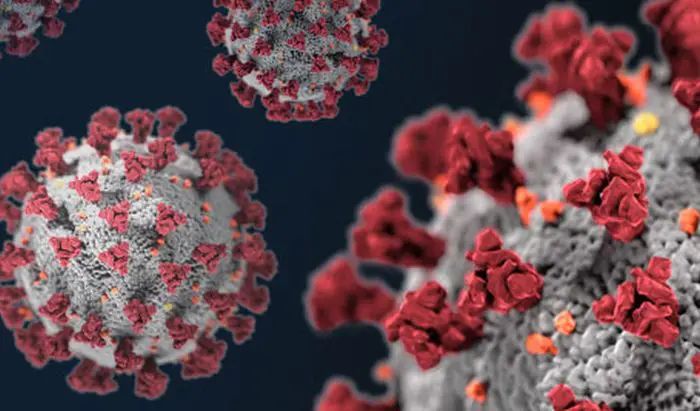 “Long Covid”, disturbi intestinali anche a 5 mesi dalla guarigione