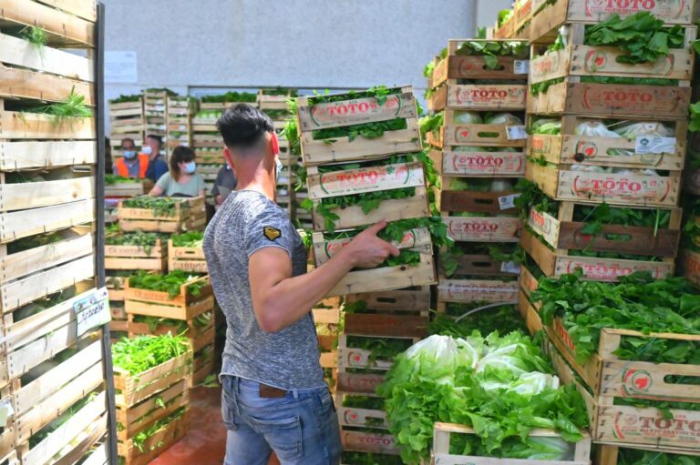 Basilicata, Fanelli “6 mln per rafforzamento filiere agroalimentari”
