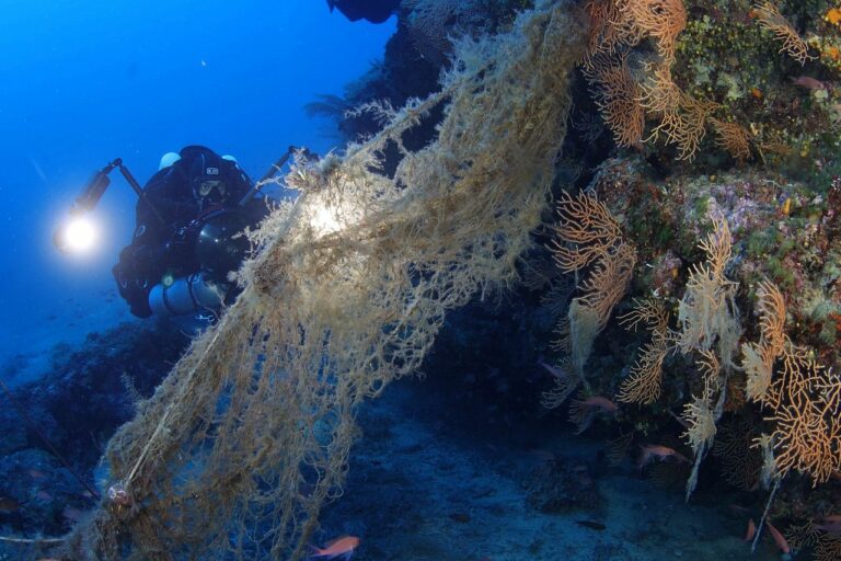 Isola del Giglio, rimossa dal fondale una rete di 500 metri