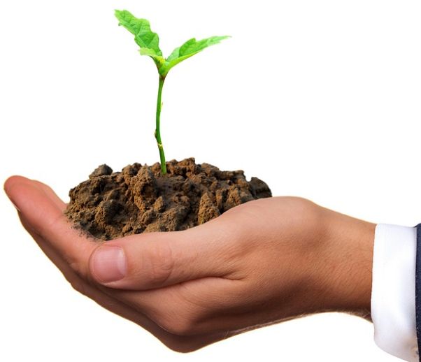 Agricoltura, Zanoni “Bene l’export bio, consumi interni da migliorare”