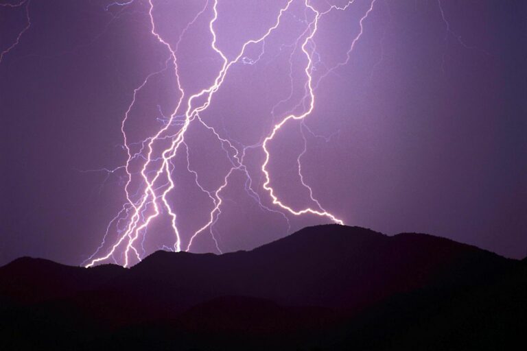 Veneto, ok del MIPAAF a interventi compensativi del Fondo di Solidarietà