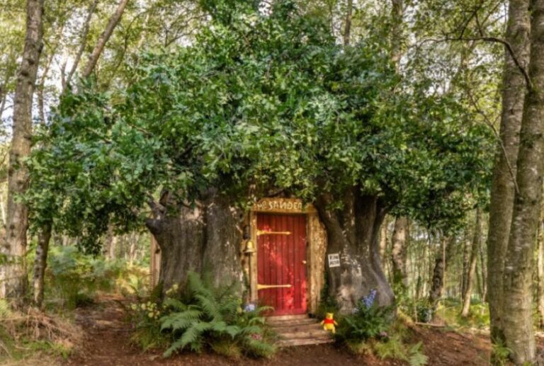 La casa di Winnie the Pooh è disponibile su Airbnb