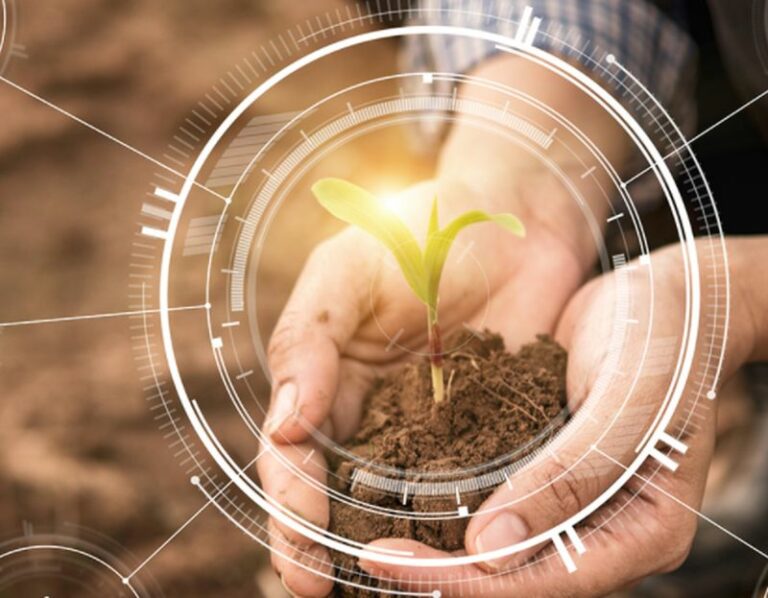 Con Fieragricola di Verona un viaggio nel mondo dell’agro-voltaico