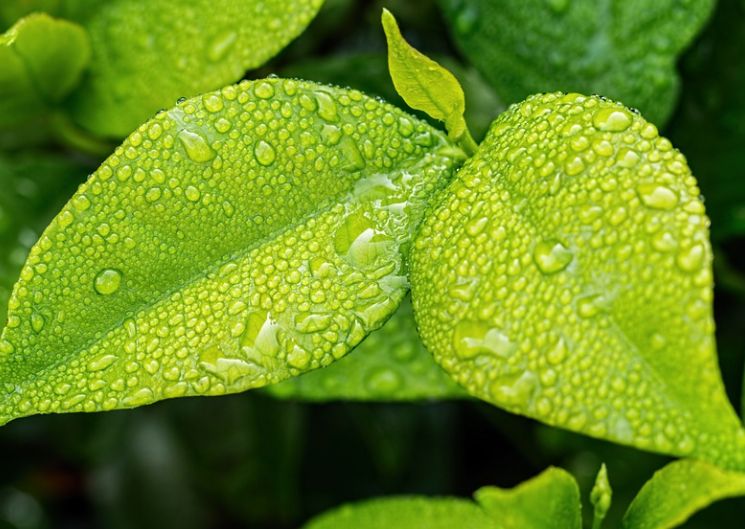Trieste Next, Roberti “Scienza guidi politica verso transizione green”