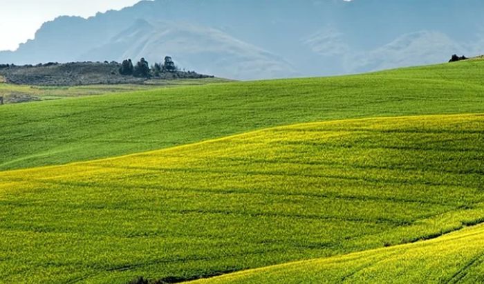 Quasi metà risorse toscane per agricoltura con finalità ambientali