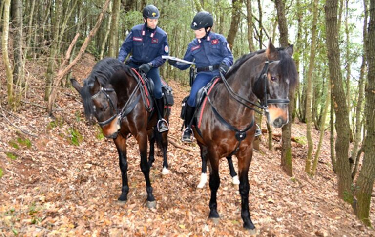 Rinnovata la convenzione per l’impiego dei Carabinieri Forestali