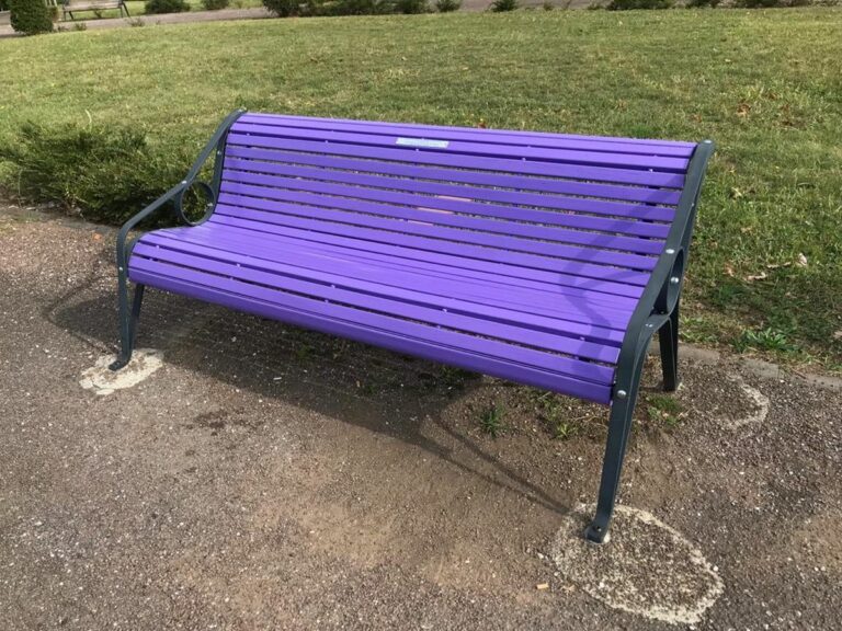 Salute, a Udine panchina viola per sensibilizzare su Alzheimer