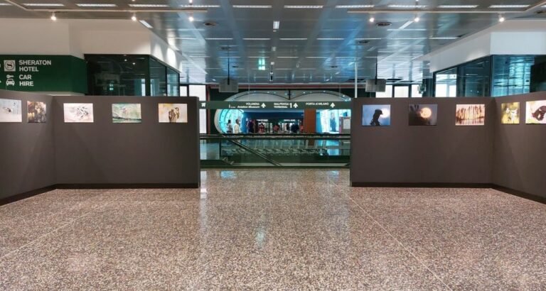 Malpensa, mostra Afni celebra la natura per Youth4climate