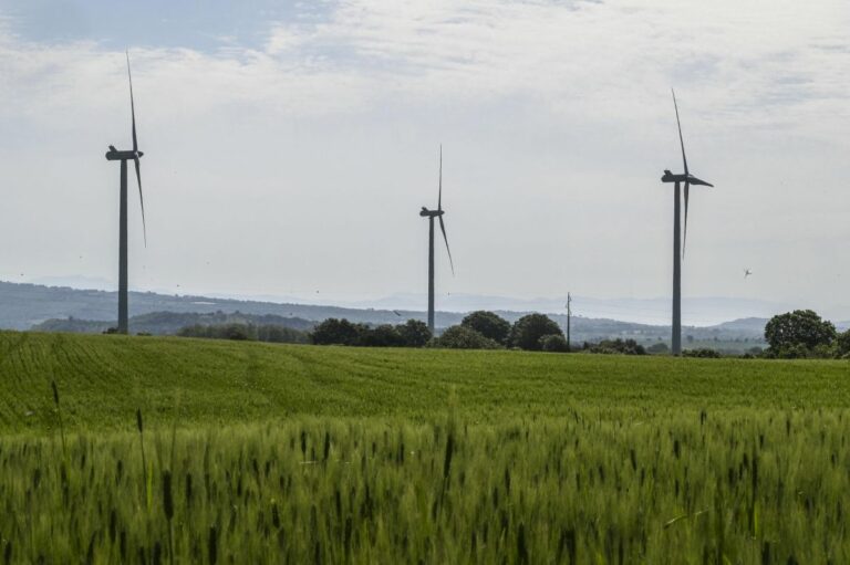 La svedese OX2 accelera l’espansione in Italia sulle rinnovabili