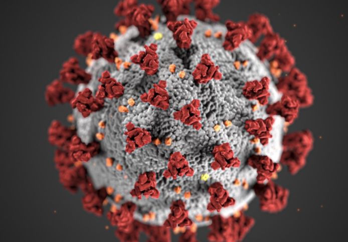 Covid, in Sardegna 77 nuovi casi