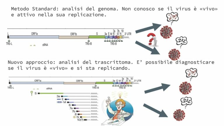 Covid, è possibile individuare il grado di infettività dei positivi