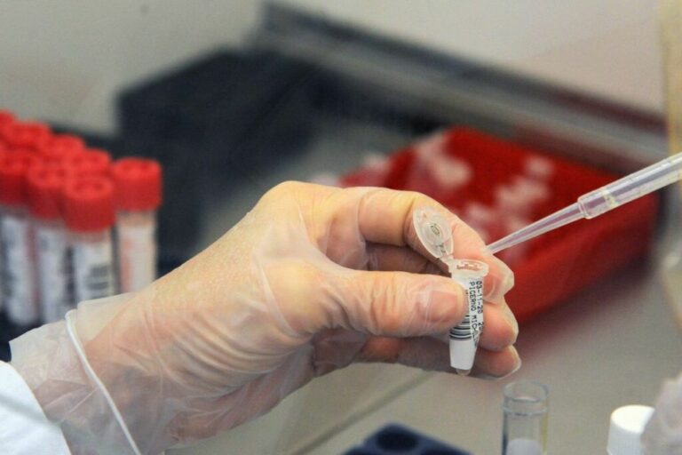Tumori, dai G-quadruplex indicazioni utili per progettare nuovi farmaci