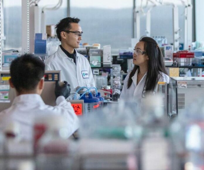 COVID: FARMACO ANTIVIRALE MERCK DIMEZZA RICOVERI E DECESSI