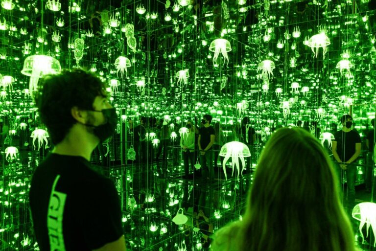 A Milano-Bicocca “IllusiOcean”, mostra dedicata all’ecosistema marino