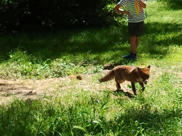 Il Wwf a Gualtieri “Roma sia la capitale europea della biodiversità”