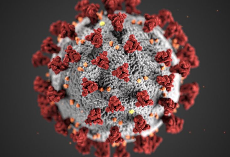 Covid, nessun decesso e 28 nuovi positivi in Sardegna