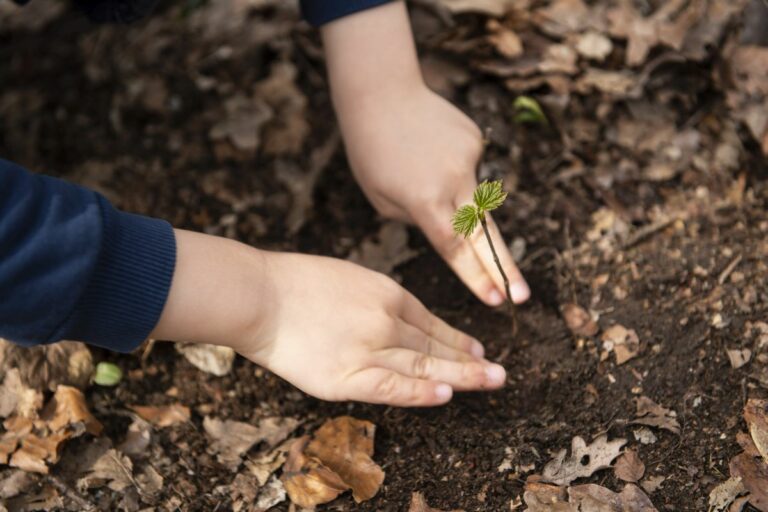 Green Economy, E.Romagna protagonista alla 24^ edizione di Ecomondo