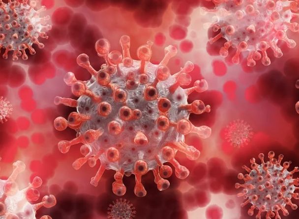 Covid. MSD e Ridgeback, avvio “rolling review” Ema per farmaco antivirale