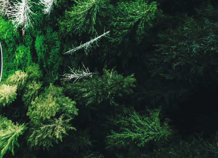 Al via a Rimini Ecomondo e Key Energy 2021