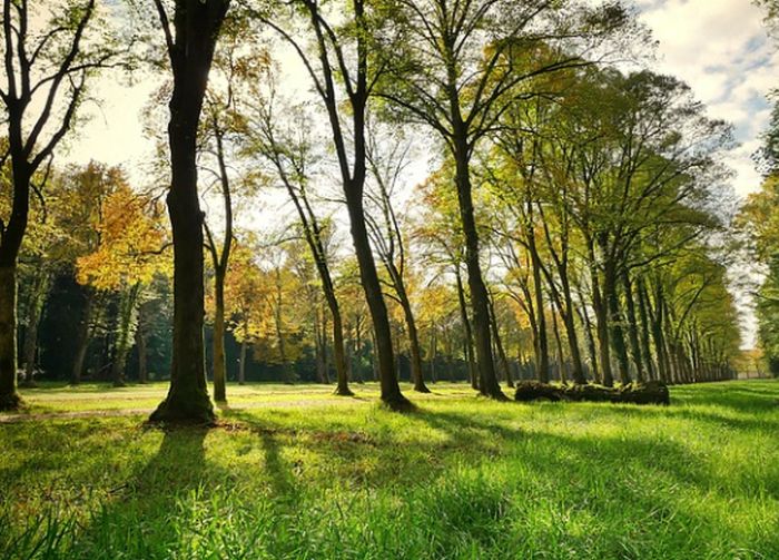 “Liguria Preziosa”, la restart della Regione passa per i parchi