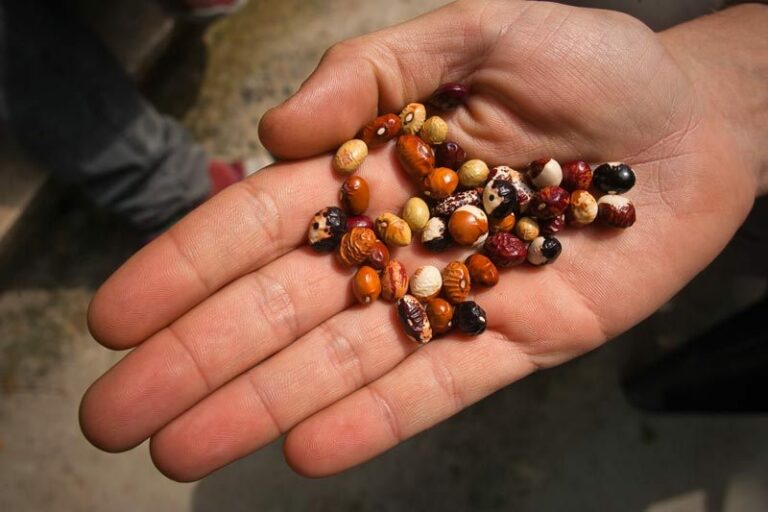 Social Film Production, non solo documentari