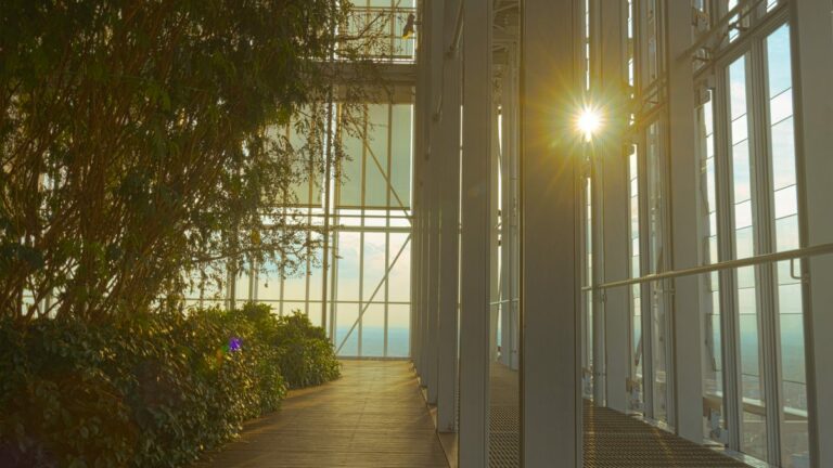 B20 Italy, progetti per far ripartire l’economia