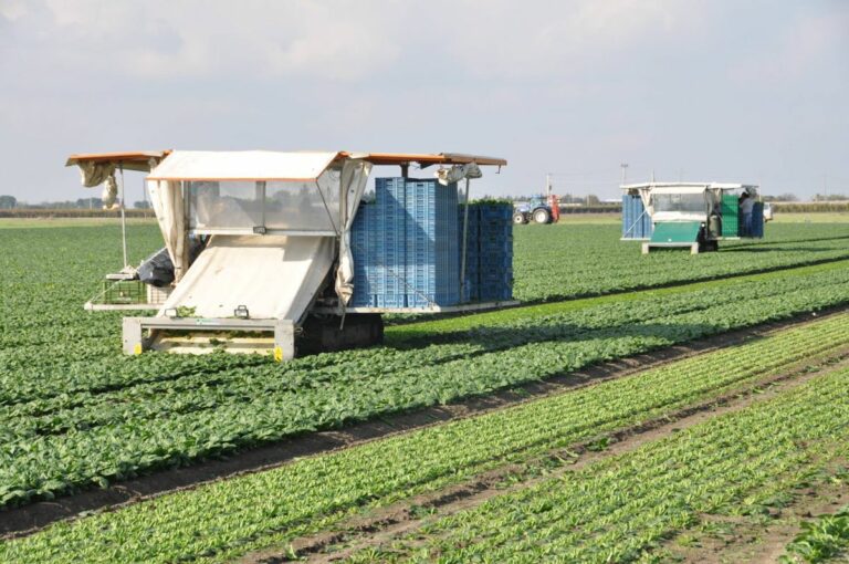 Basilicata, tremila aziende agricole sostenute nel corso della pandemia