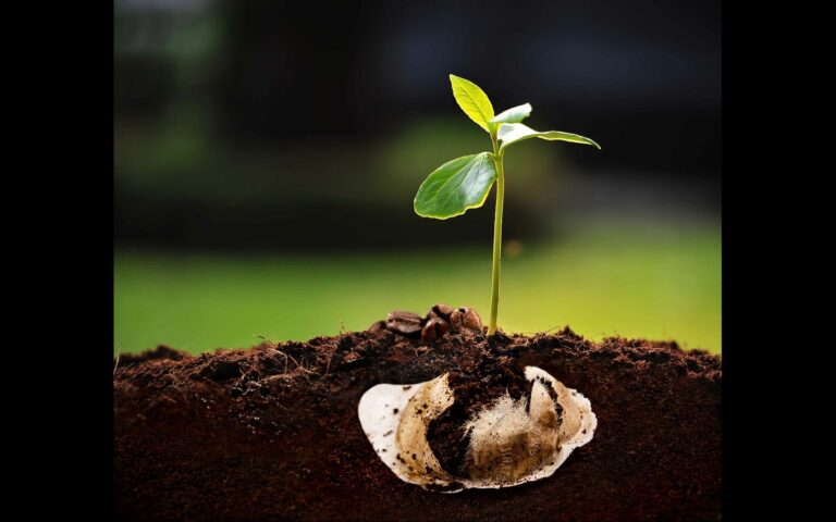 A Napoli partono i laboratori per bambini sul riutilizzo del caffè
