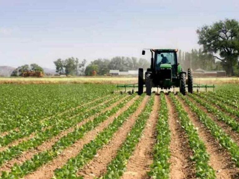 Basilicata, ok a bando per multifunzionalità aziende agricole