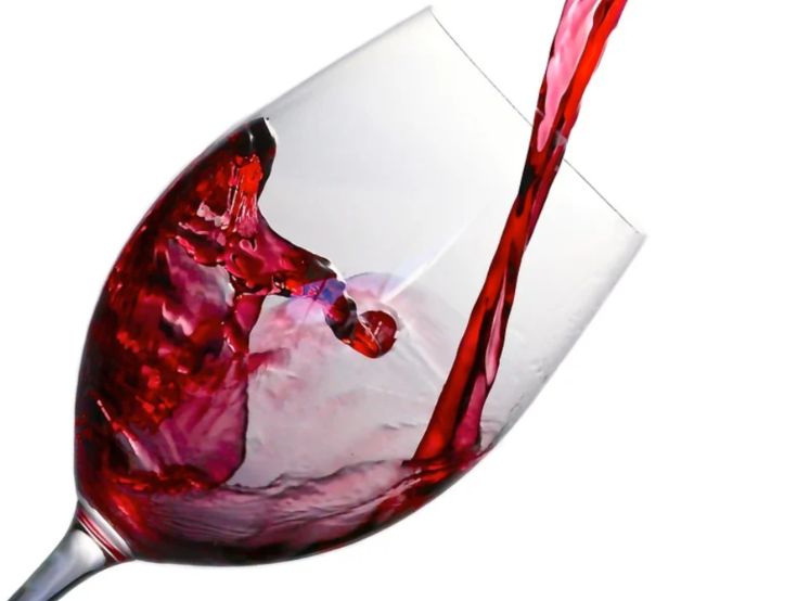 Arriva a Livorno Wine Destinations Italia