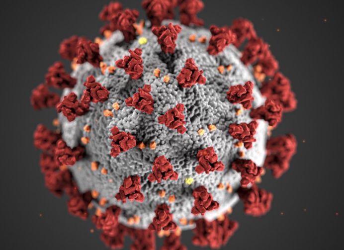 Covid, in Sardegna 96 nuovi casi e un decesso