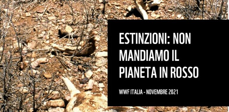 Wwf “Allarme estinzioni, il Pianeta rischia di andare in rosso”