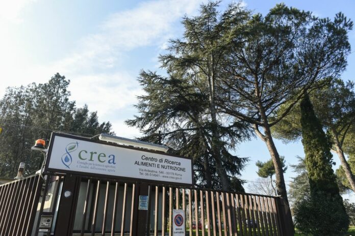 SEDE CENTRO DI RICERCA CREA