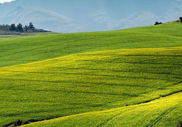 Estensione del Psr, disponibili 437 milioni per la Sardegna