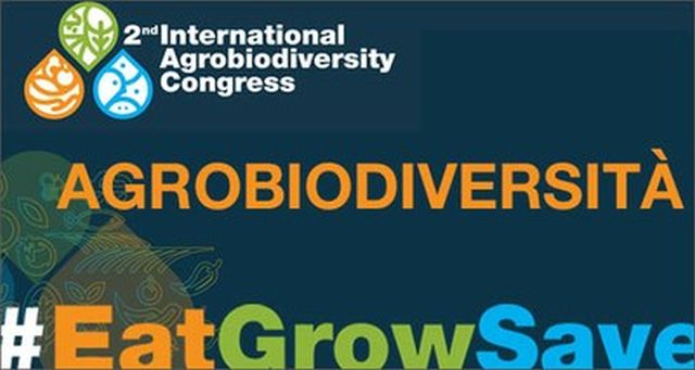 Da Enea soluzioni e studi per trasformare i sistemi agroalimentari