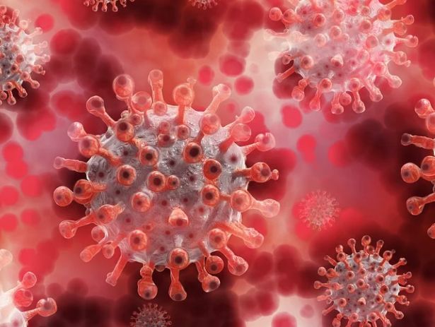 Covid, 1.058 nuovi positivi e 14 decessi in Emilia Romagna