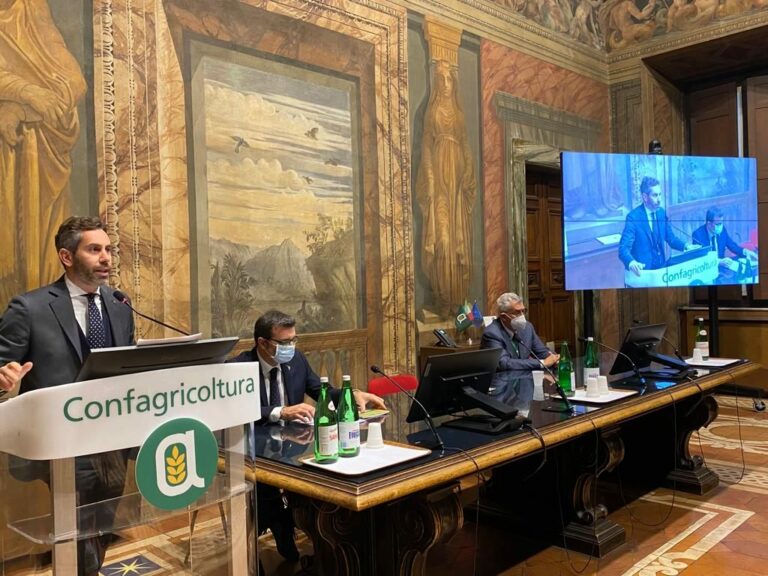 Riso, Confagricoltura “Prorogare l’obbligo di etichettatura”