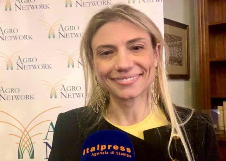Agronetwork, promuovere la competitività delle imprese agroalimentari