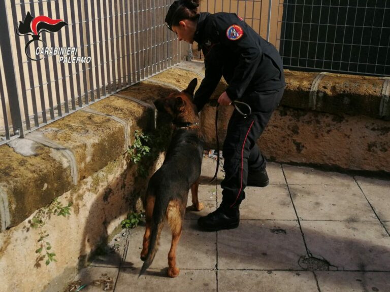 Spacciavano droga davanti a una scuola, 12 arresti a Palermo
